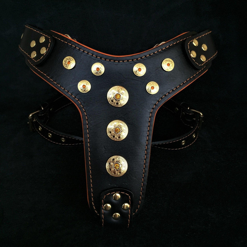 Schwarzes Bijou-Ledergeschirr mit orangefarbenen Kanten und goldfarbenen Zierscheiben mit orangefarbenen Steinen