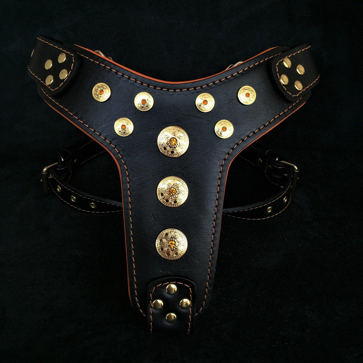 Schwarzes Bijou-Ledergeschirr mit orangefarbenen Kanten und goldfarbenen Zierscheiben mit orangefarbenen Steinen