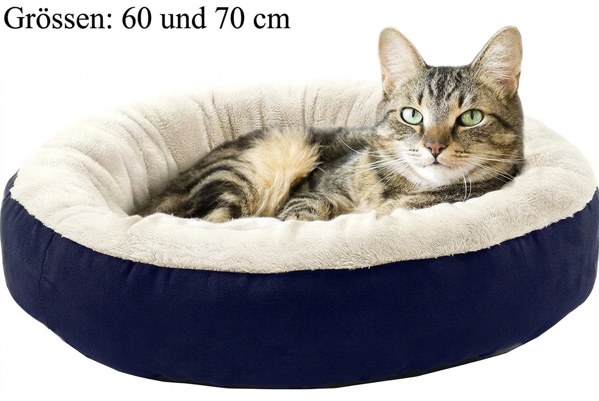 Blaues Bett mit deutscher Beschriftung