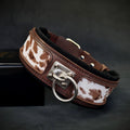 Dunkelbraunes Buffalo-Lederhalsband mit braun-weiss gefleckten Einsätzen, schwarzer Polsterung und silberfarbenem Leinenring auf dunklem Hintergrund