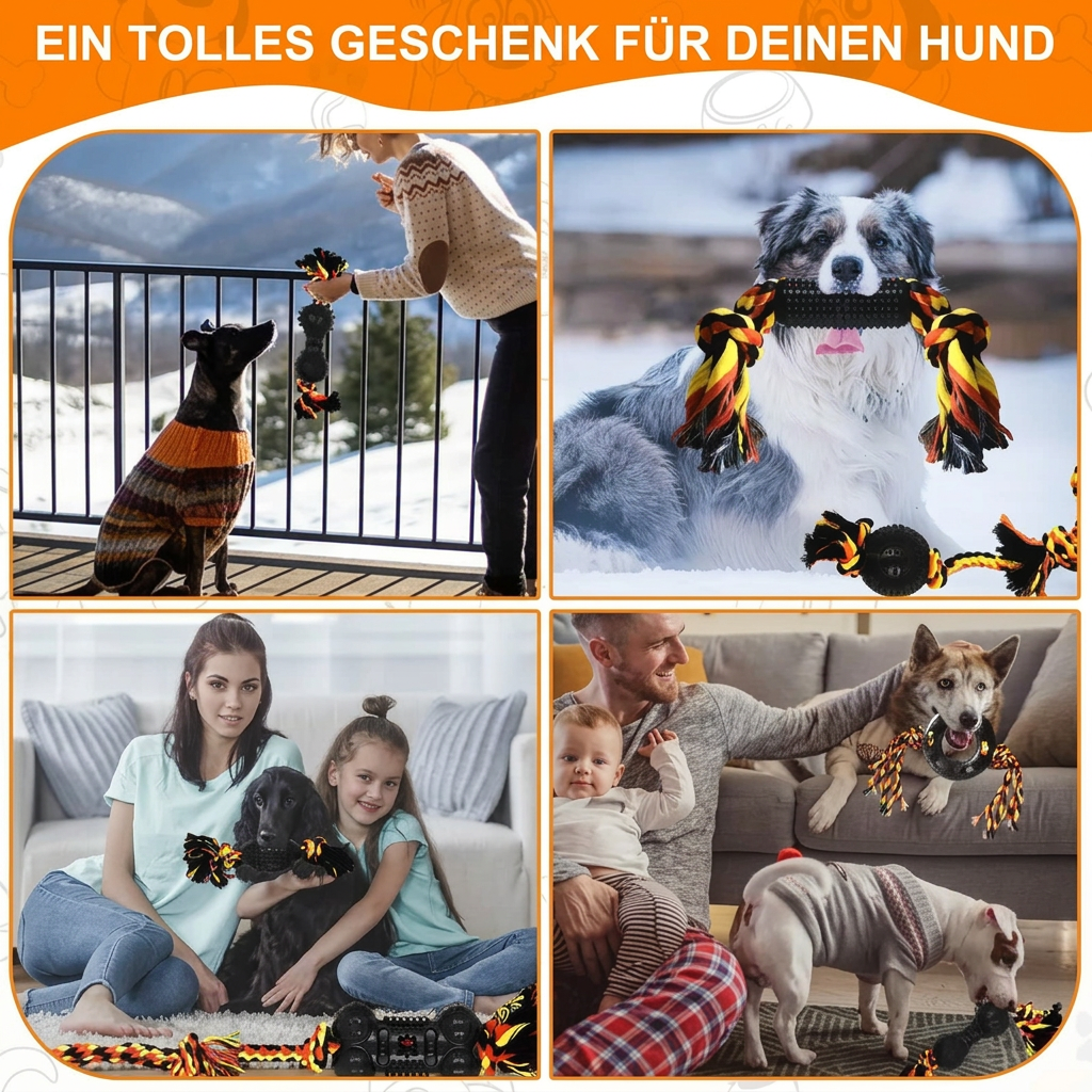 Collage mit Hunden und Menschen beim Spielen mit den Gummi- und Seilspielzeugen.