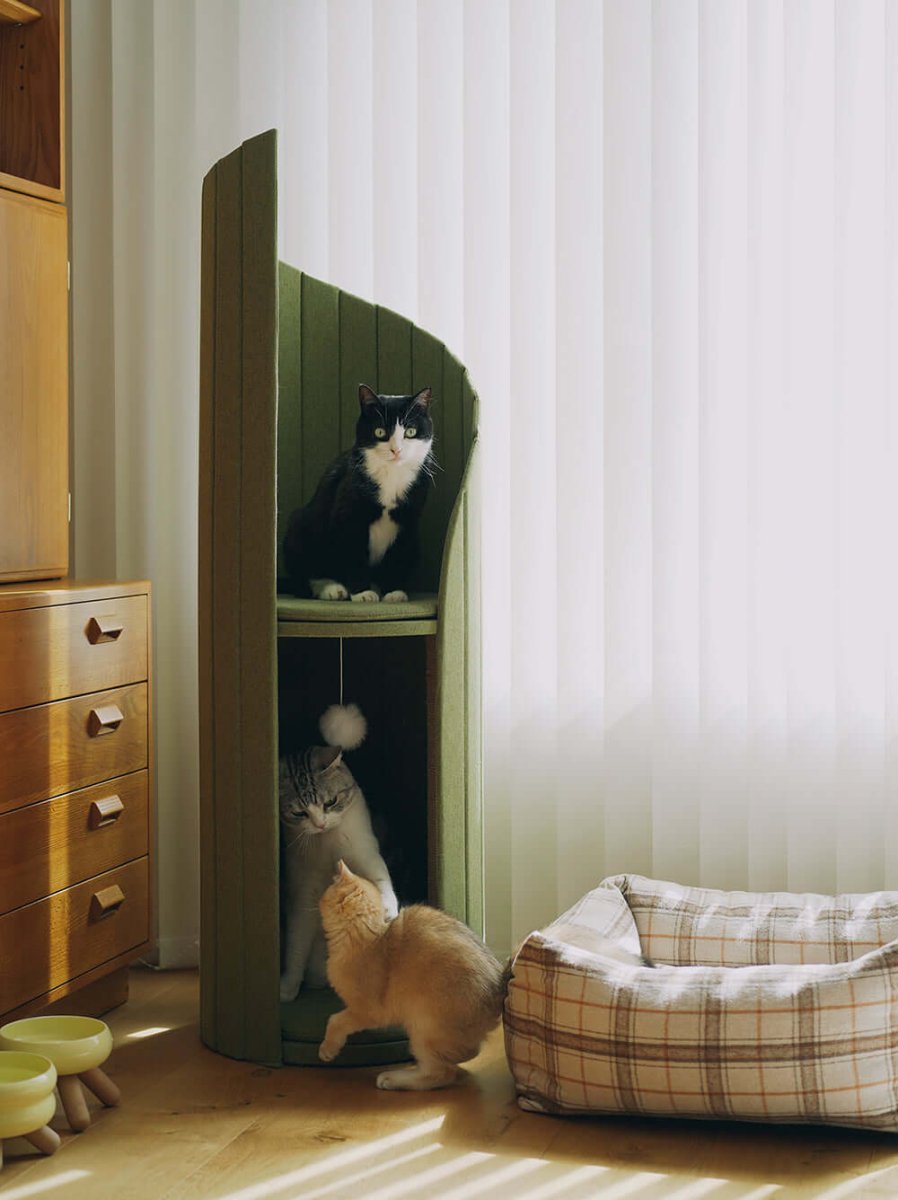 Eleganter Katzenturm Grün