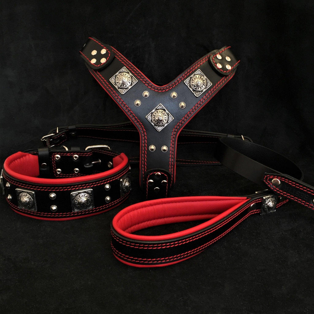 BESTIA EROS Lederset in Schwarz/Rot mit Hundegeschirr, Halsband und Leine, roten Polsterungen und silberfarbenen Ziernieten.