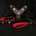 BESTIA EROS Lederset in Schwarz/Rot mit Hundegeschirr, Halsband und Leine, roten Polsterungen und silberfarbenen Ziernieten.