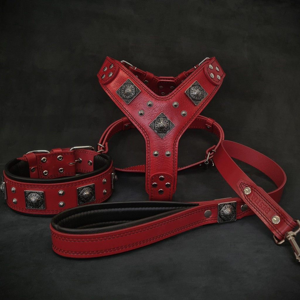 Rotes Eros-Lederset aus Geschirr, Halsband und Leine mit silberfarbenen Nieten und verzierten quadratischen Beschlägen