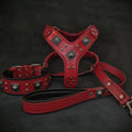 Rotes Eros-Lederset aus Geschirr, Halsband und Leine mit silberfarbenen Nieten und verzierten quadratischen Beschlägen
