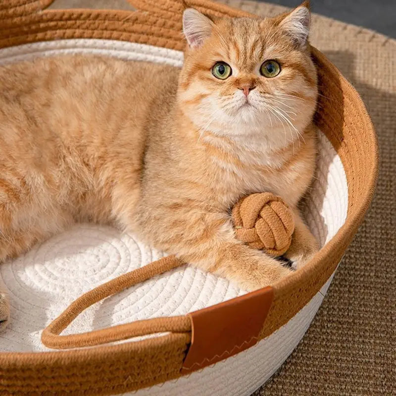 Nahaufnahme einer Katze im geflochtenen Katzenbett mit khakifarbenem Rand und geknotetem Spielball.