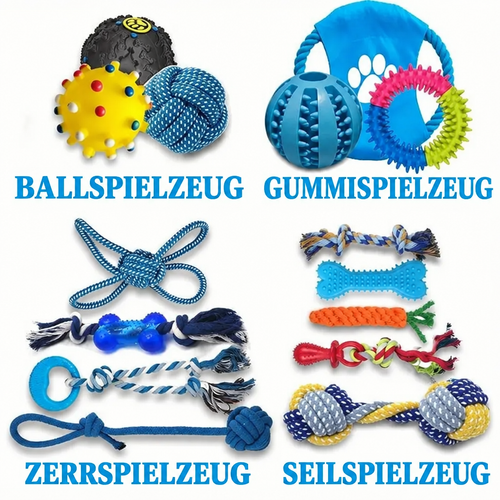 Hundespielzeug nach Kategorien geordnet: Ballspielzeug, Gummispielzeug, Zerrspielzeug und Seilspielzeug.