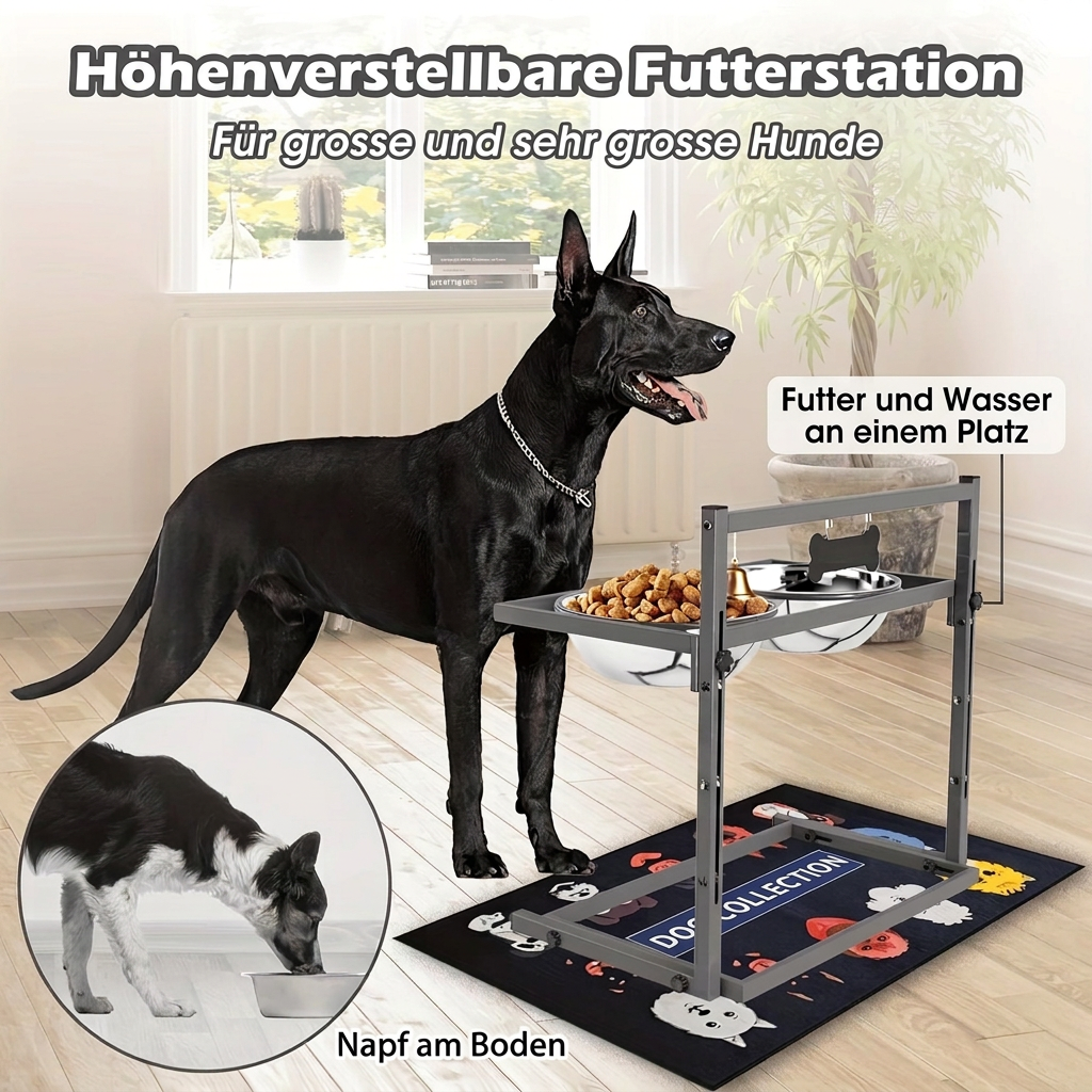 Grosser schwarzer Hund an einer höhenverstellbaren Futterstation, mit Vergleichsbild eines Hundes am Bodennapf.