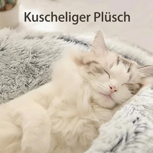 Nahaufnahme einer schlafenden Katze im grauen Plüsch-Katzenbett mit dem Schriftzug «Kuscheliger Plüsch».