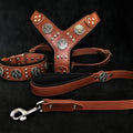 Braunes Maximus-Silver-Lederset aus Geschirr, Halsband und Leine mit silberfarbenen Zierscheiben und Nieten sowie schwarzer Polsterung auf dunklem Hintergrund