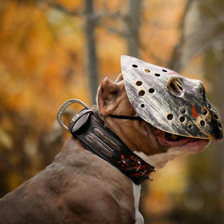 Brauner Hund trägt ein Haunted-Halsband und eine Hockeymaske vor herbstlichem Hintergrund