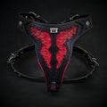 BESTIA Red Dragon Ledergeschirr in Grösse M mit schwarzem Leder, roten Einsätzen im Pythonmuster und silberfarbenen Schnallen, Vorderansicht.