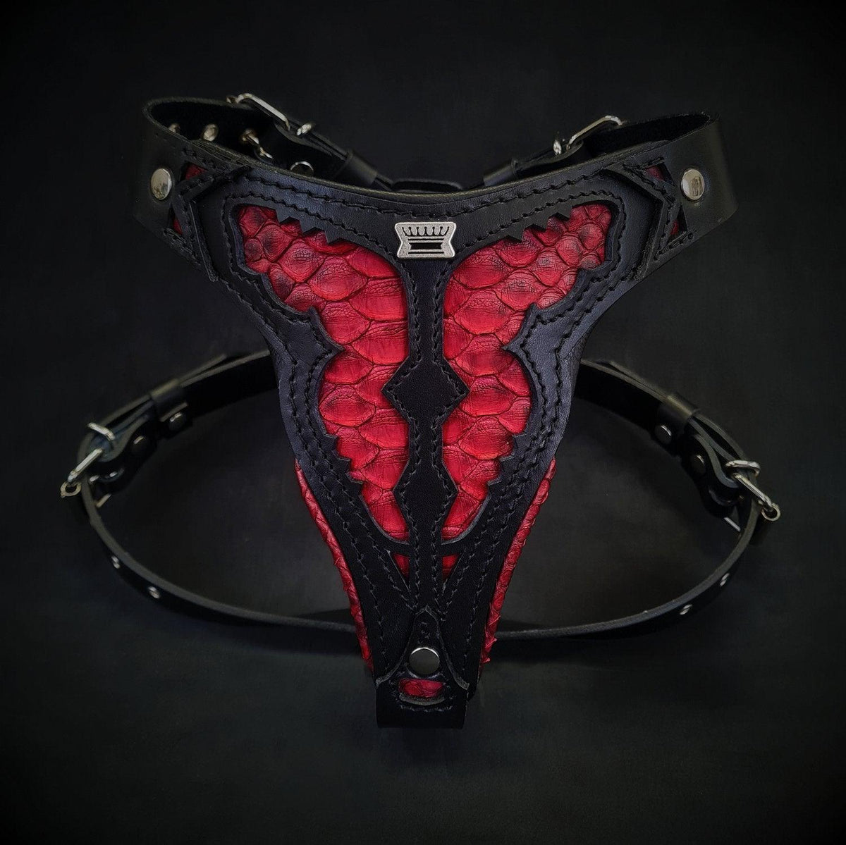 BESTIA Red Dragon Ledergeschirr in Grösse M mit schwarzem Leder, roten Einsätzen im Pythonmuster und silberfarbenen Schnallen, Vorderansicht.