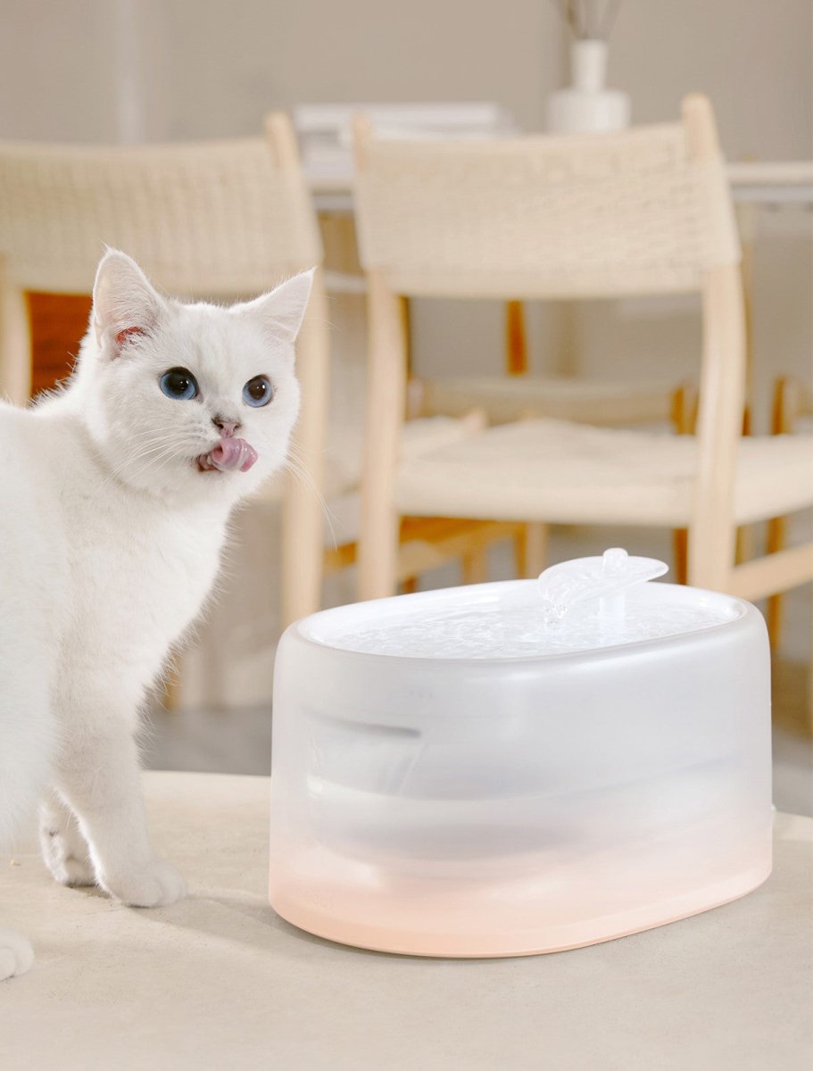 Intelligenter Temperatur-UVC-Sterilisations-Wasserbrunnen