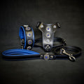 BESTIA Bijou Set mit schwarzem Lederhalsband, Geschirr und Leine, blauer Polsterung und silberfarbenen Ziernieten.