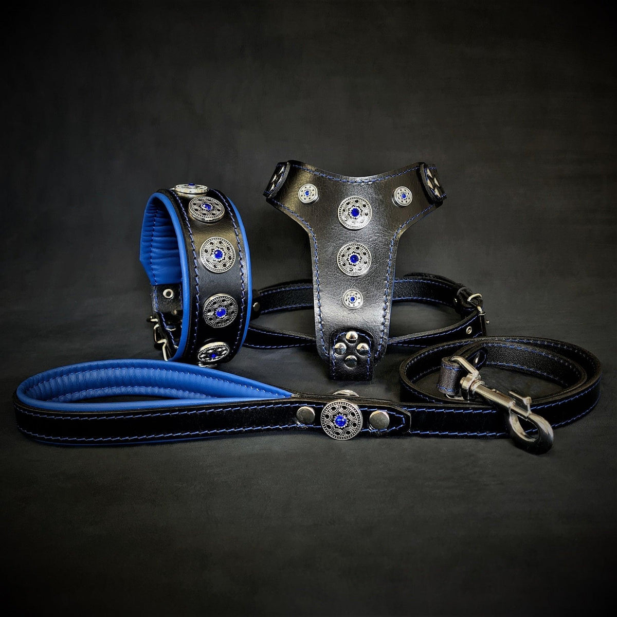 BESTIA Bijou Set mit schwarzem Lederhalsband, Geschirr und Leine, blauer Polsterung und silberfarbenen Ziernieten.