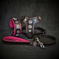 BESTIA Bijou Lederset mit schwarzem Halsband, Geschirr und Leine, pinkfarbener Polsterung und Nähten sowie silberfarbenen Zierelementen mit pinken Strasssteinen.