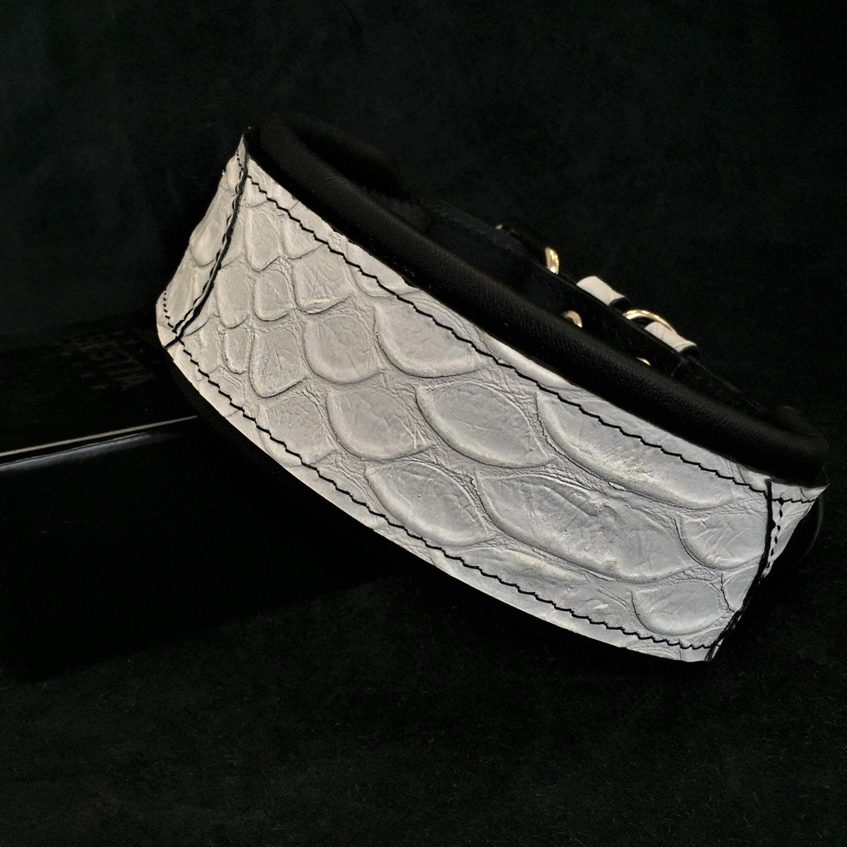 Weisses Dragon-Scale-Lederhalsband mit Schuppenprägung, schwarzen Nähten und schwarzer Polsterung auf dunklem Hintergrund