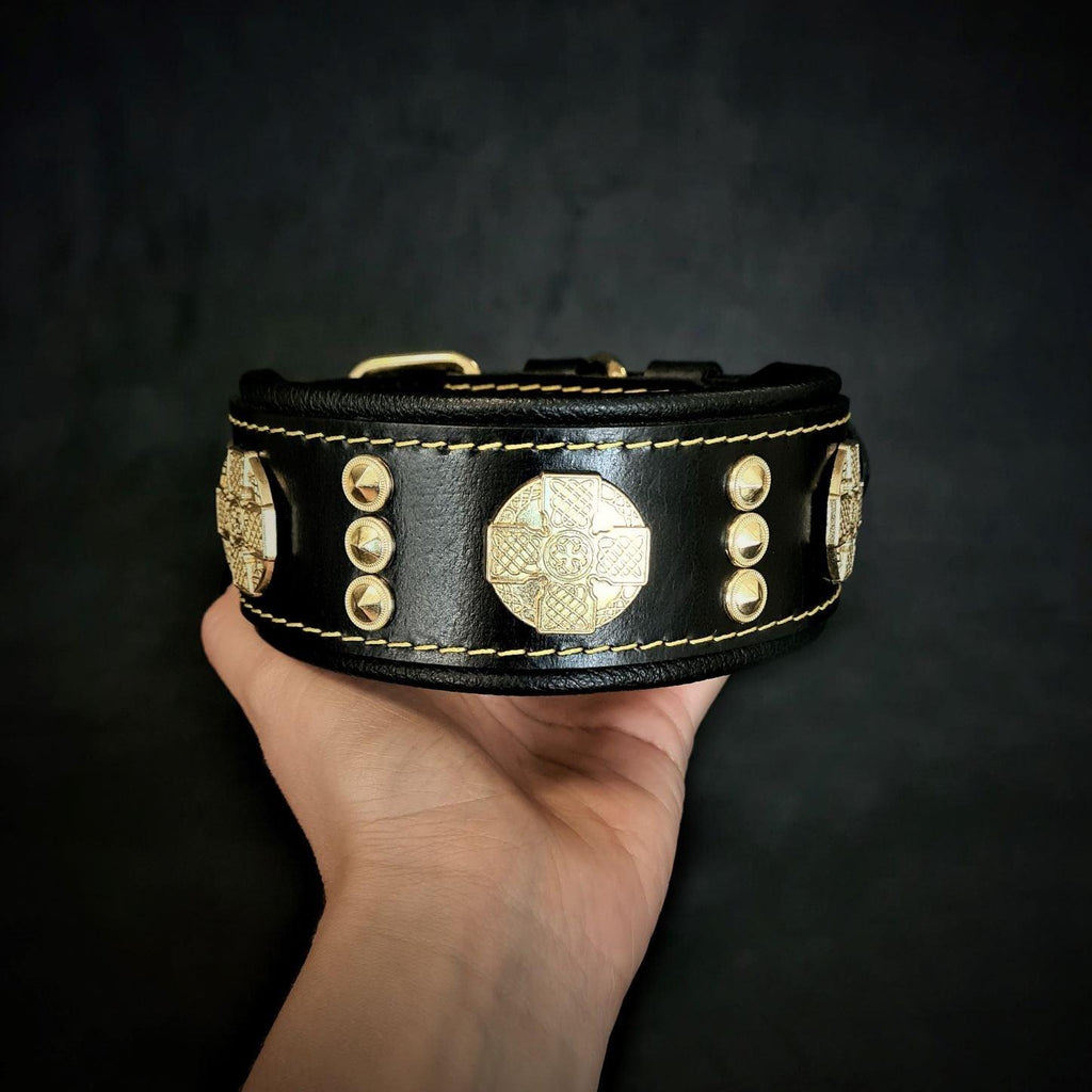 Schwarzes Maximus-Lederhalsband mit goldfarbenen Zierscheiben und Nieten sowie gelben Nähten, in einer Hand gehalten