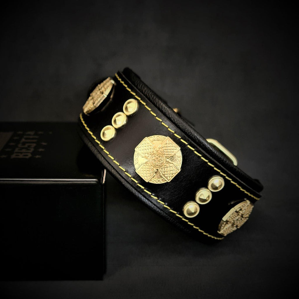 Schwarzes Maximus-Lederhalsband mit goldfarbenen Zierscheiben und Nieten, gelben Nähten und schwarzer Polsterung
