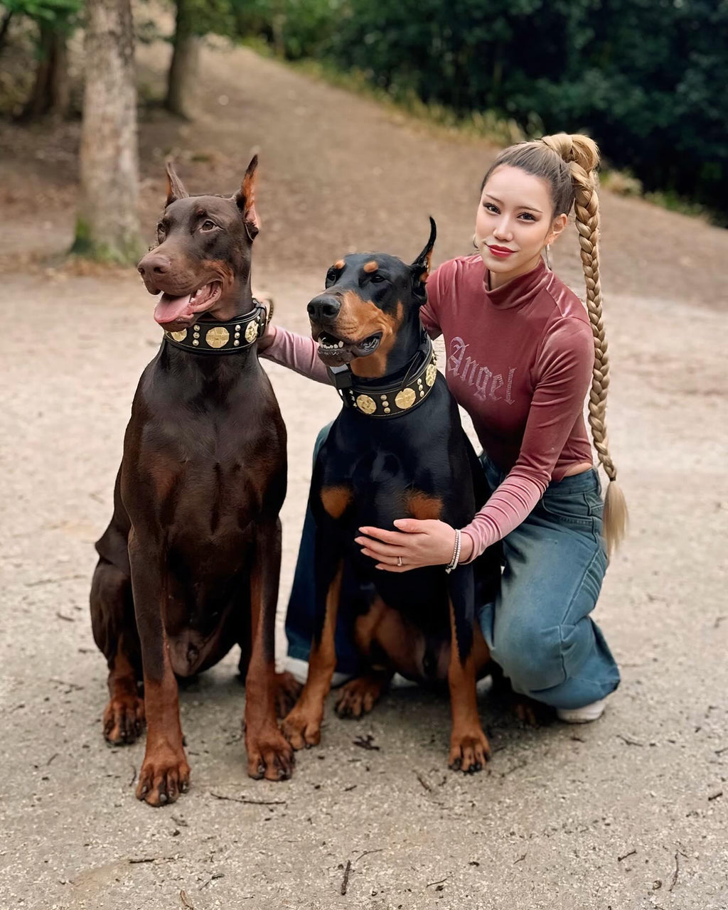 Zwei Hunde tragen BESTIA Maximus Halsbänder in Schwarz/Gold neben einer Frau auf einem Waldweg.