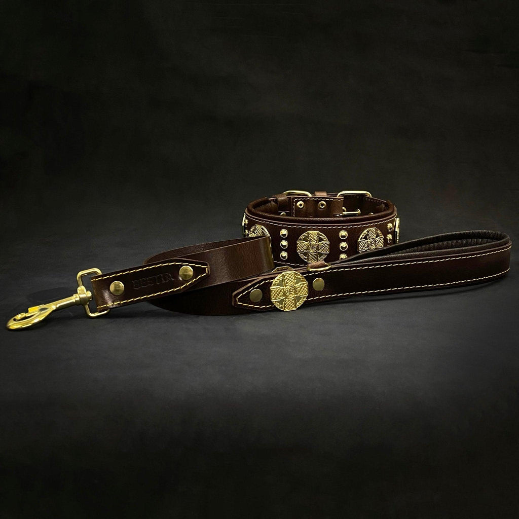 Braunes Maximus-Halsband mit passender Lederleine, goldfarbenen Zierscheiben und Metallkarabiner auf dunklem Hintergrund