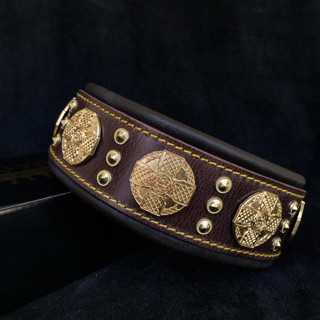 Braunes Maximus-Lederhalsband mit goldfarbenen Zierscheiben und Nieten, gelben Nähten und schwarzer Polsterung