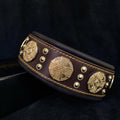 Braunes Maximus-Lederhalsband mit goldfarbenen Zierscheiben und Nieten, gelben Nähten und schwarzer Polsterung