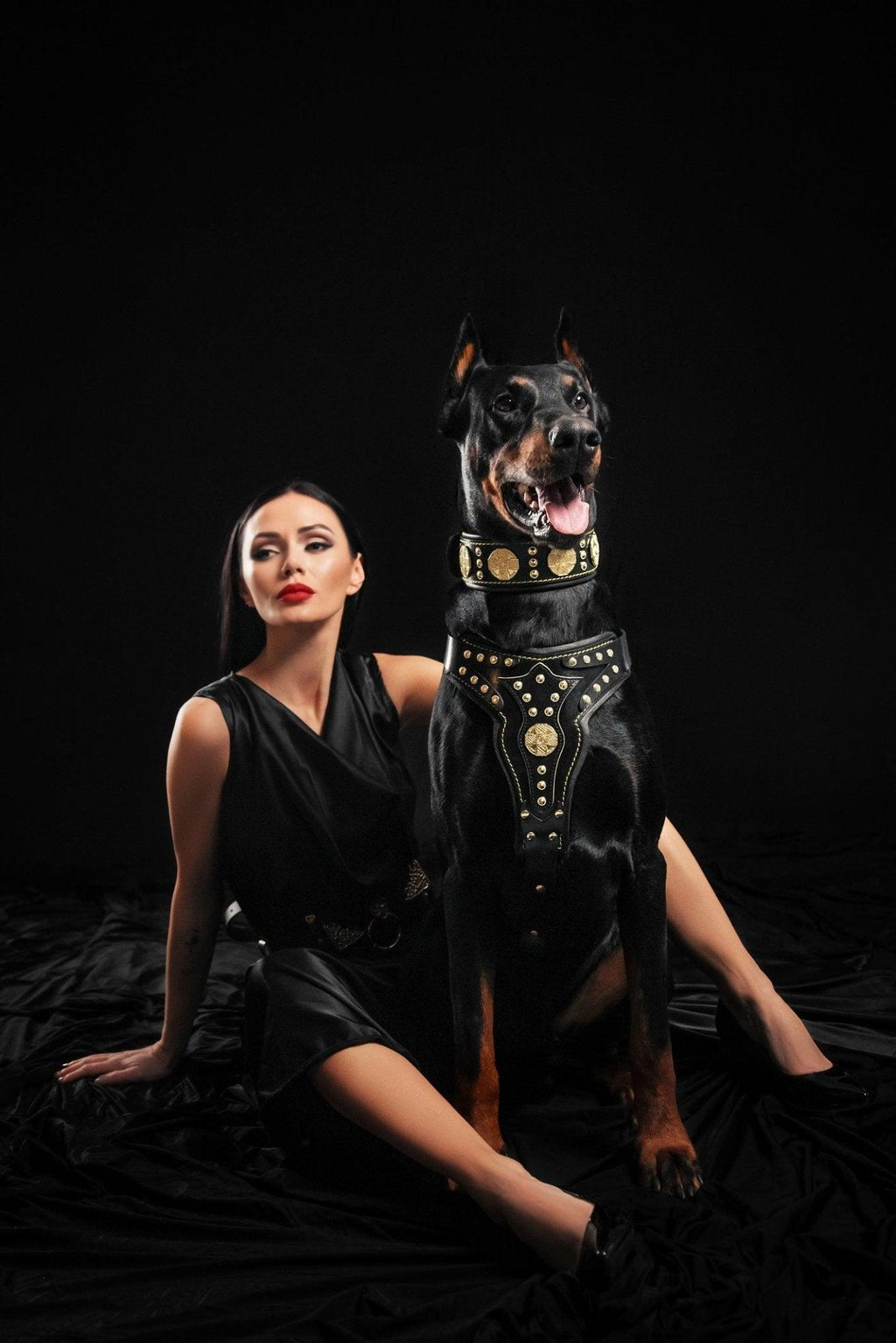 Dobermann trägt ein schwarzes Maximus-V2-Geschirr mit goldfarbenen Verzierungen neben einer sitzenden Frau vor schwarzem Hintergrund