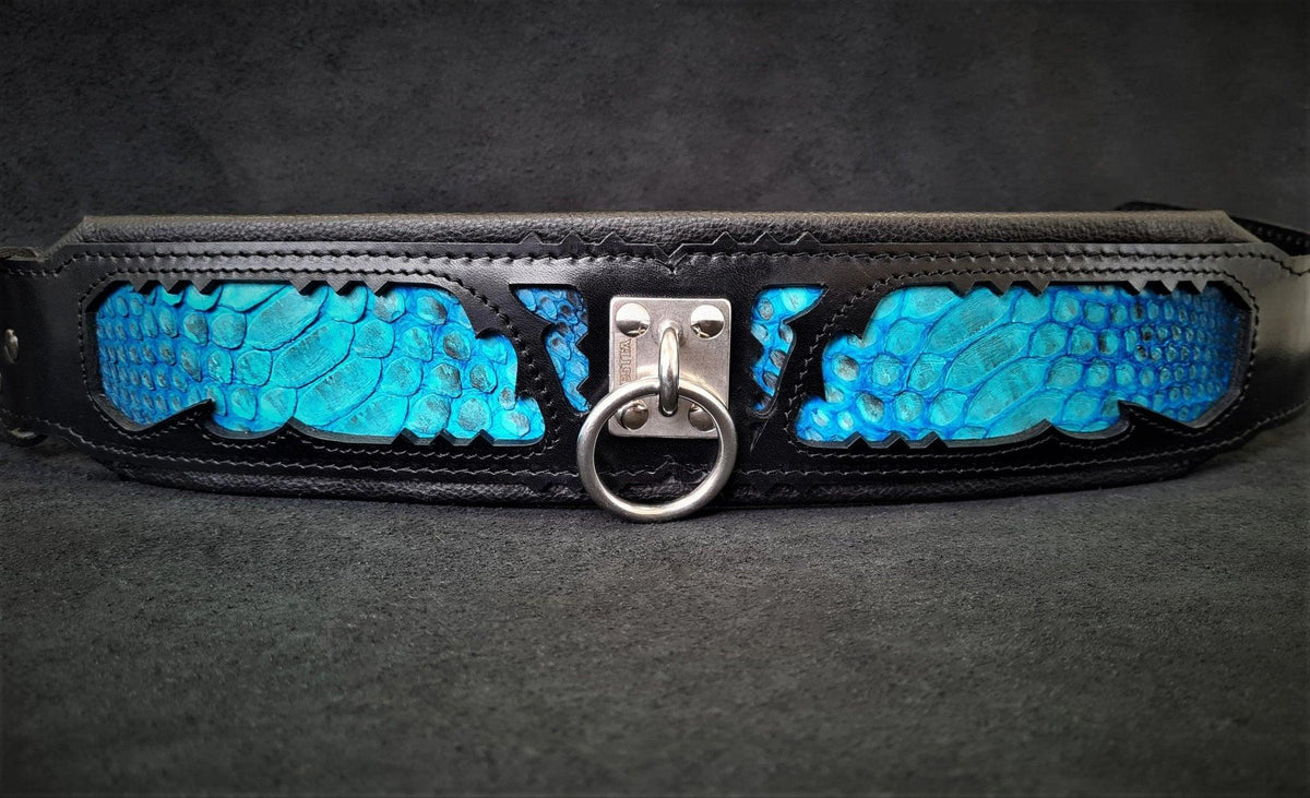 BESTIA Morelia Python Lederhalsband in ausgebreiteter Ansicht mit blauen Pythonmuster-Einsätzen und mittigem silberfarbenem Leinenring.