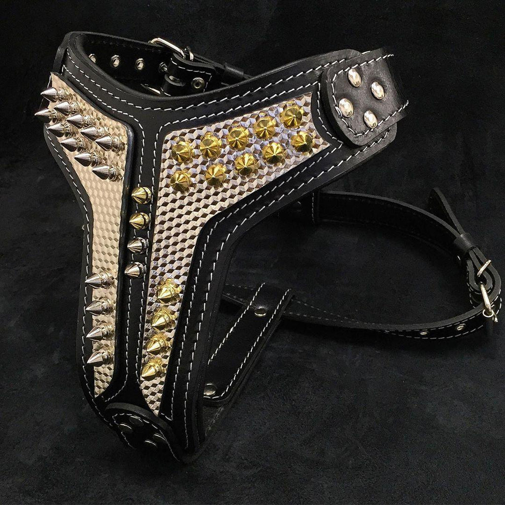 Schwarzes Platinum-Ledergeschirr mit hellen strukturierten Einsätzen, Spikes und weissen Nähten, schräg von vorne