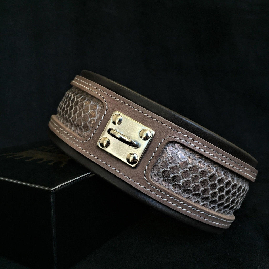 Braunes Python-Lederhalsband mit Schlangenprint, hellen Nähten, schwarzer Polsterung und silberfarbenem Leinenring auf dunklem Hintergrund