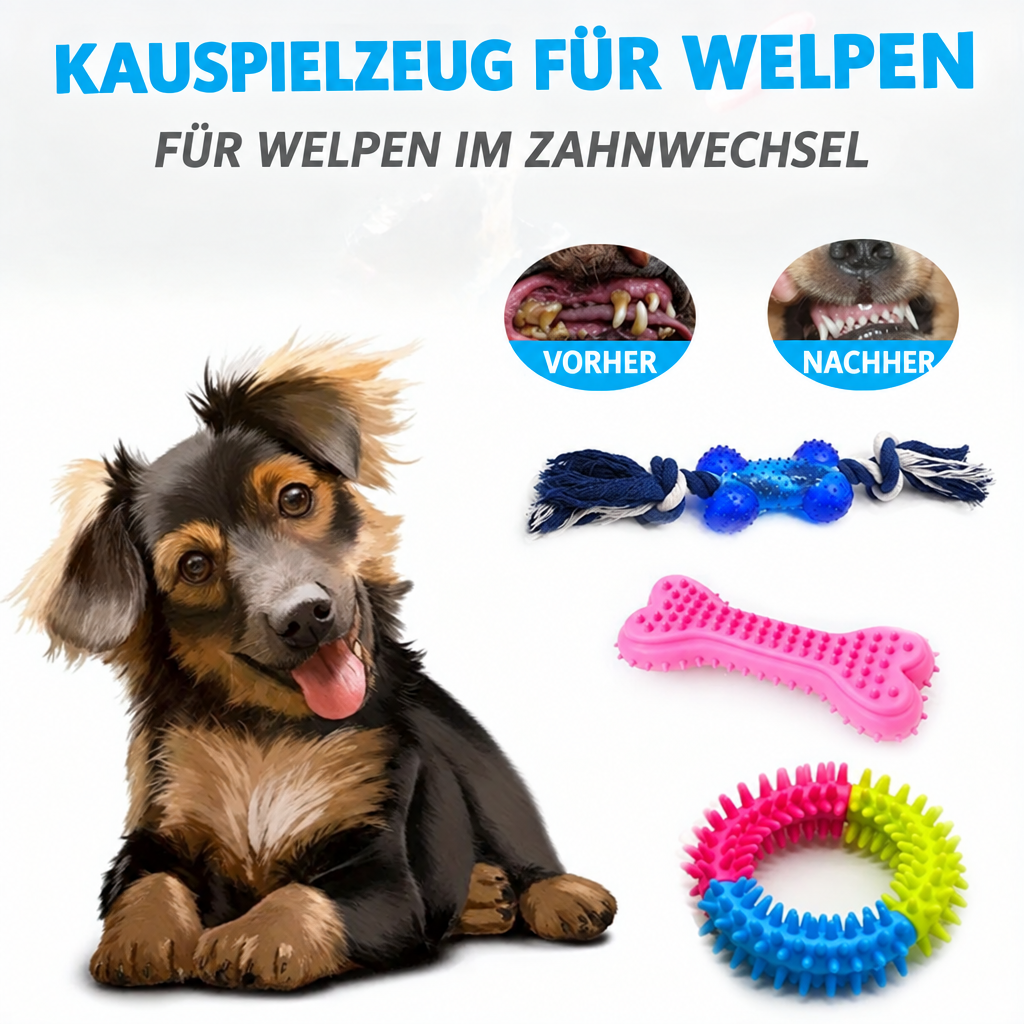 Welpe neben bunten Kauknochen, Seilspielzeug und Noppenring sowie zwei als Vorher und Nachher bezeichneten Zahnbildern.