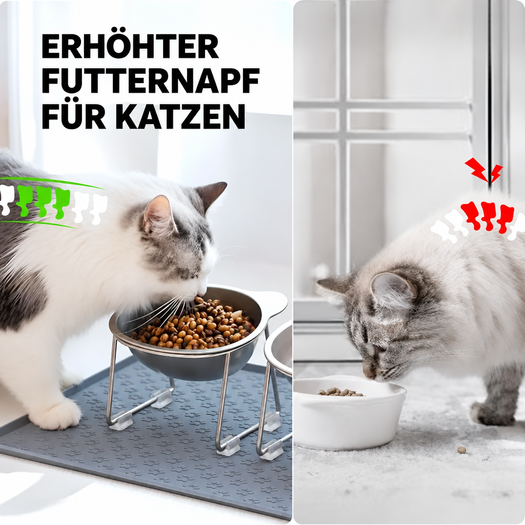 Zwei Katzen an unterschiedlichen Näpfen mit neutraler deutscher Beschriftung